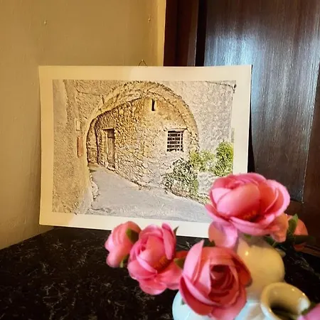 Geckos House *