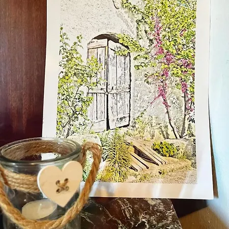 Geckos House